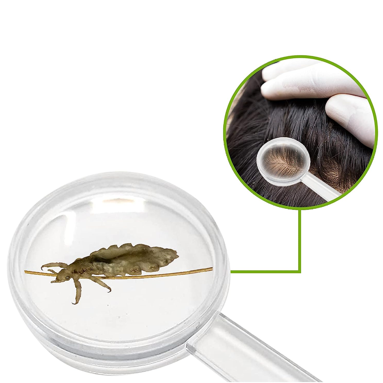 Option+ Lice Comb Kit - Comb Magnifier Tweezer | 1 Pack