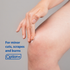 Option+ Antibiotic Ointment USP | 15 g