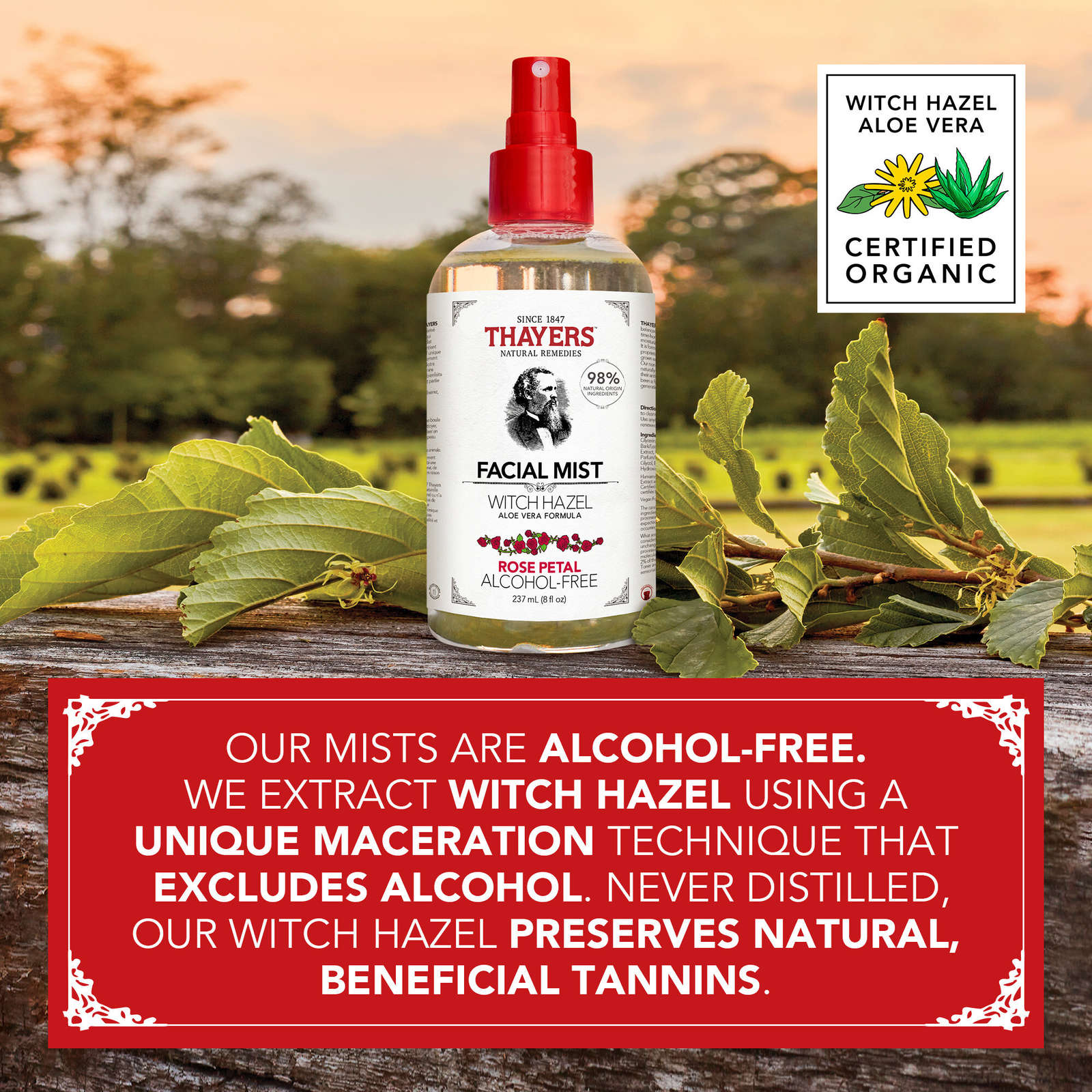 Rose Petal Alcohol-Free Witch Hazel Face Mist with Aloe Vera