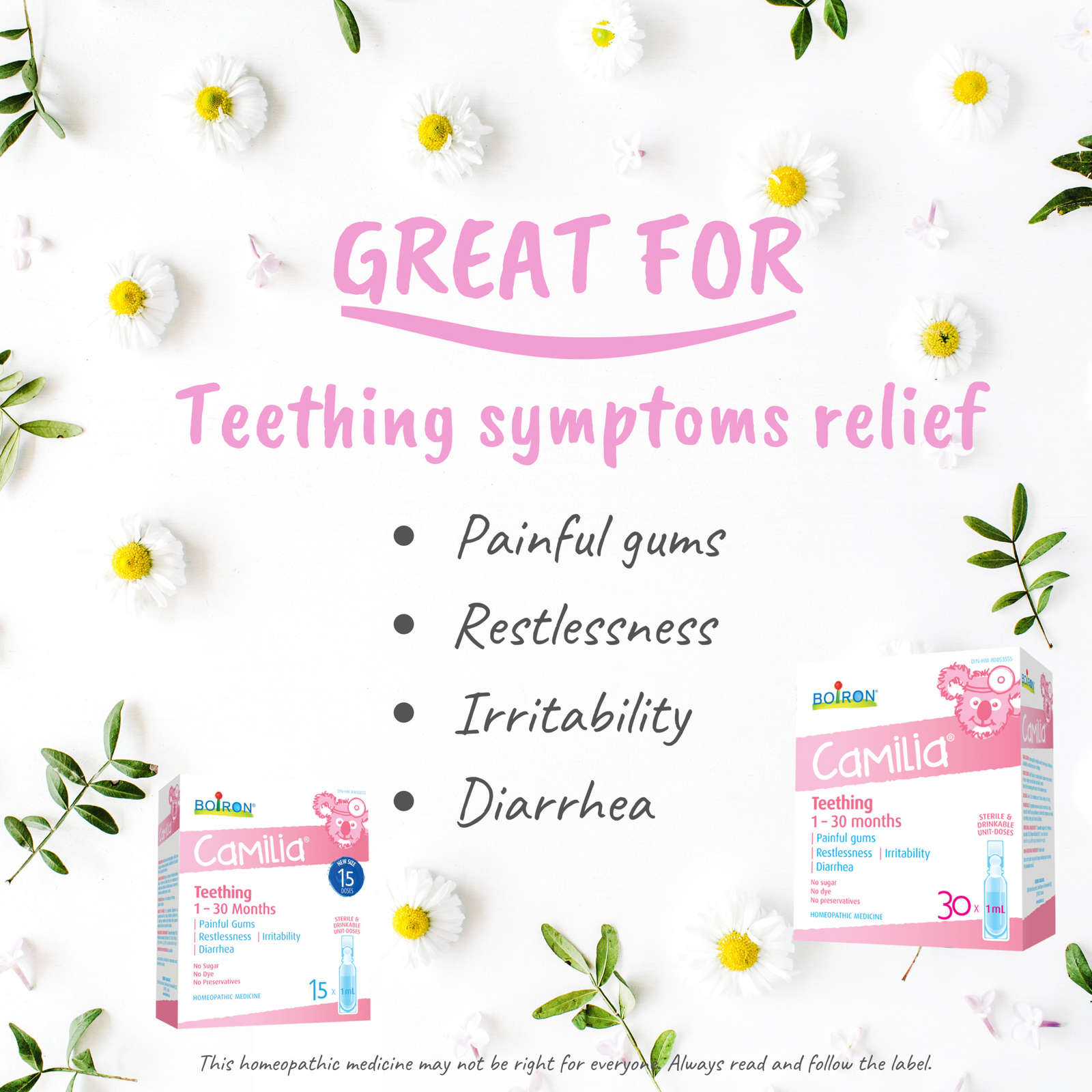 Camilia Relieves Teething Symptoms