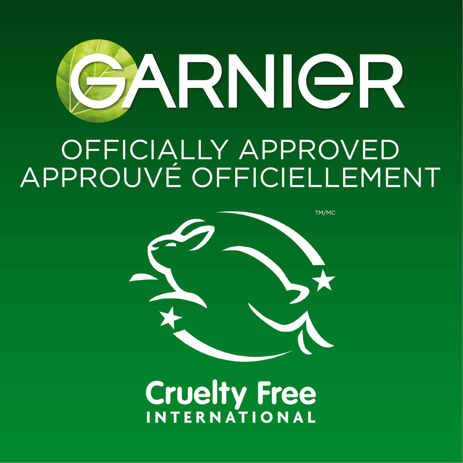 Garnier Beauty Serum Sheet Mask with Niacinamide + Kale, Balancing Skin Care for Oily skin, 1 Tissue Mask (14 mL)