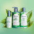Bioré Clean Detox Hydrating Moisturizer, for Normal to Combination Skin