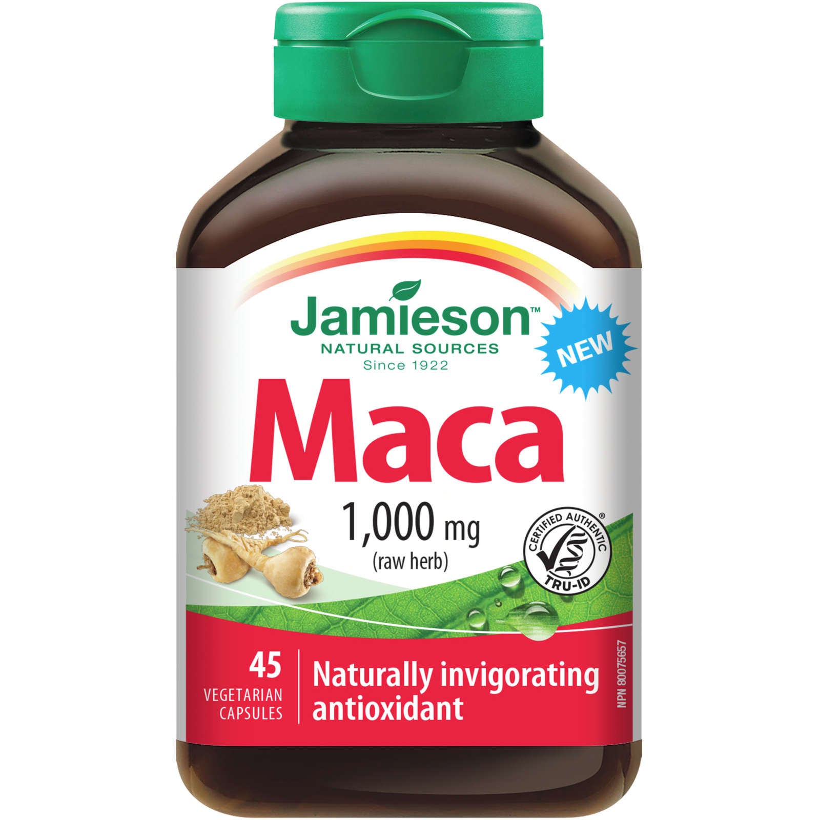 Maca