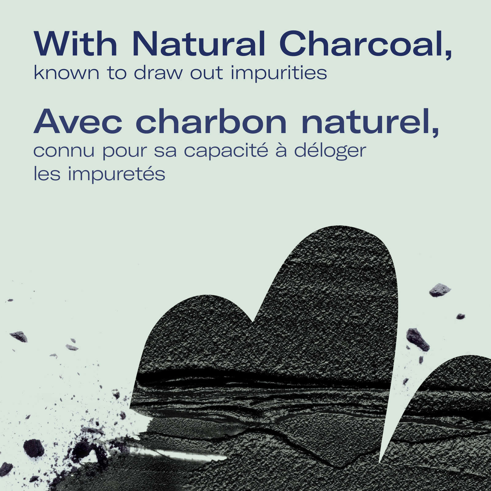 Charcoal Whipped Purifying Detox Mask