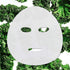 Garnier Beauty Serum Sheet Mask with Niacinamide + Kale, Balancing Skin Care for Oily skin, 1 Tissue Mask (14 mL)