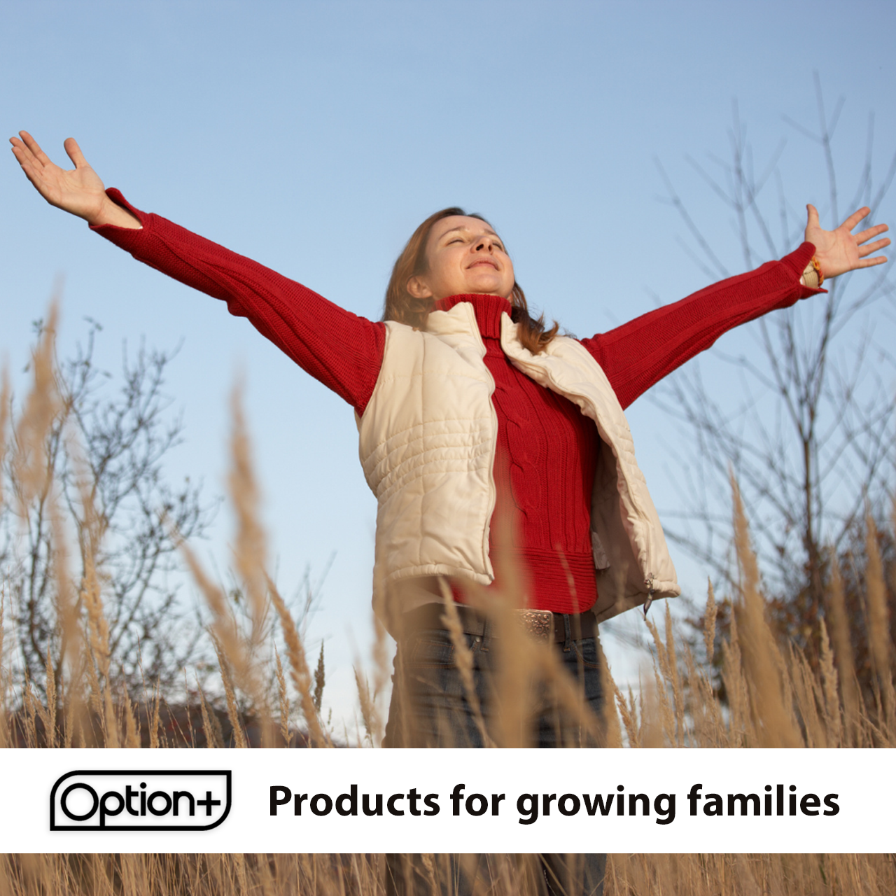 Option+ Non-Drowsy Anti-Nausea Ginger Capsules | 24 Liquid Gels