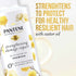 Sulfate Free Shampoo, Hair Strengthening Anti Frizz Damage Repair with Castor Oil, Safe for Color Treated Hair, Nutrient Blends