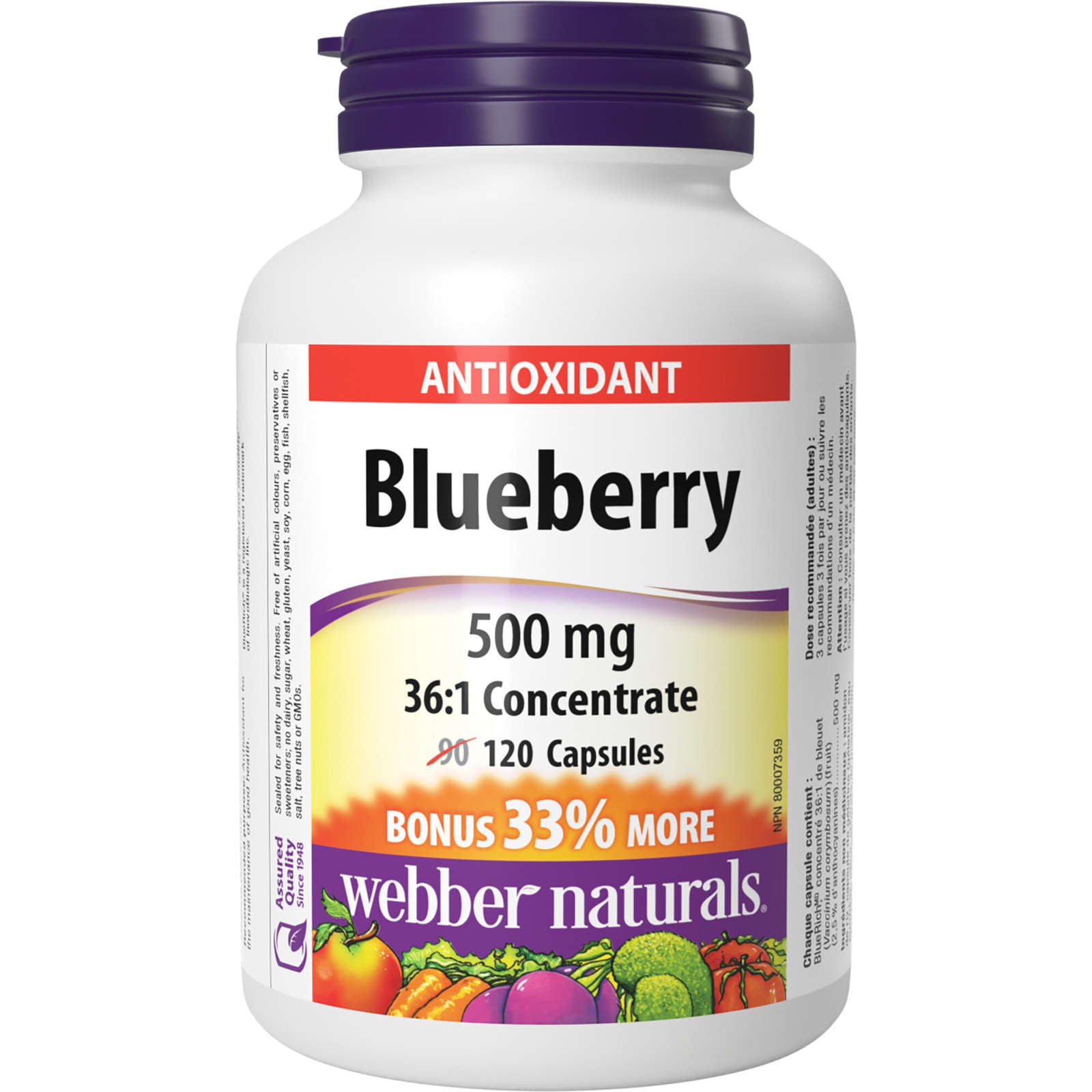 Blueberry 36:1 Concentrate 500 mg