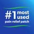 Salonpas Pain Relieving Patch 40ct