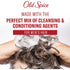 Old Spice Swagger 2in1 Shampoo and Conditioner for Men, 400 mL