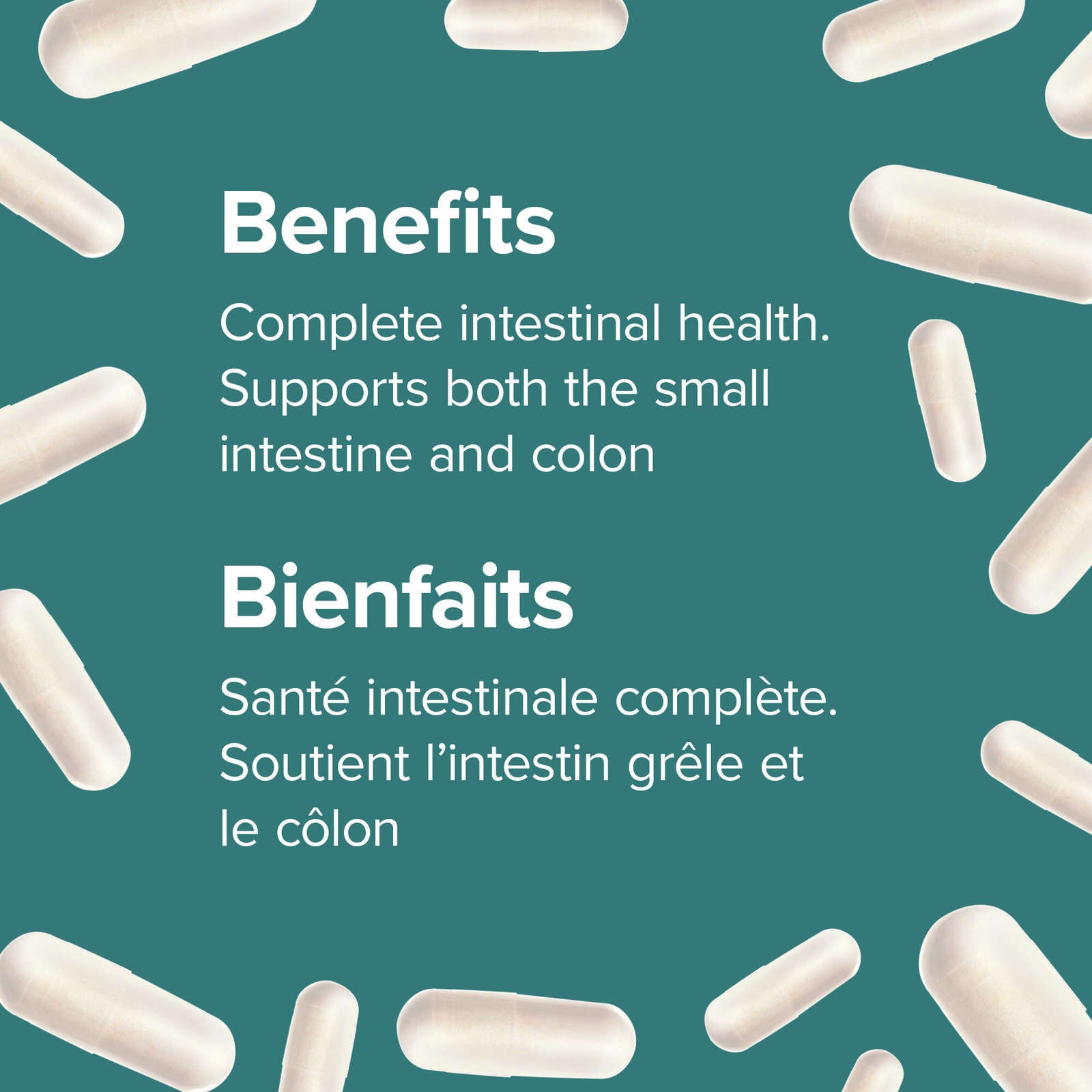 Probiotic 5 Billion 5 Probiotic Strains