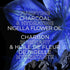 Magnetic Charcoal Purifying Shampoo for Greasy Scalp, Hydrates Dry Ends for Up to 48-Hours, with Charcoal and Nigella Flower Oil