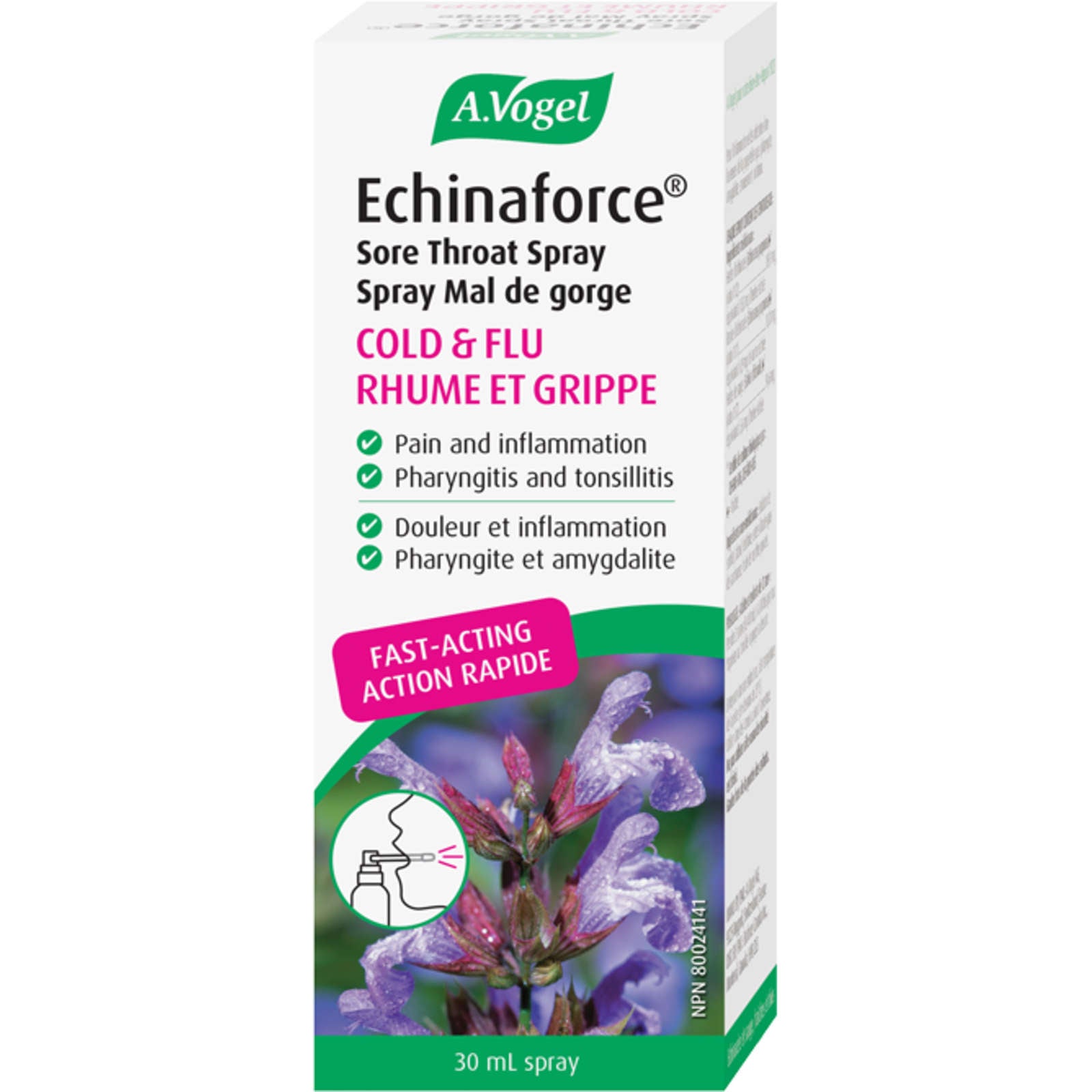 Echinaforce Extra Immune Support for Cold and Flu