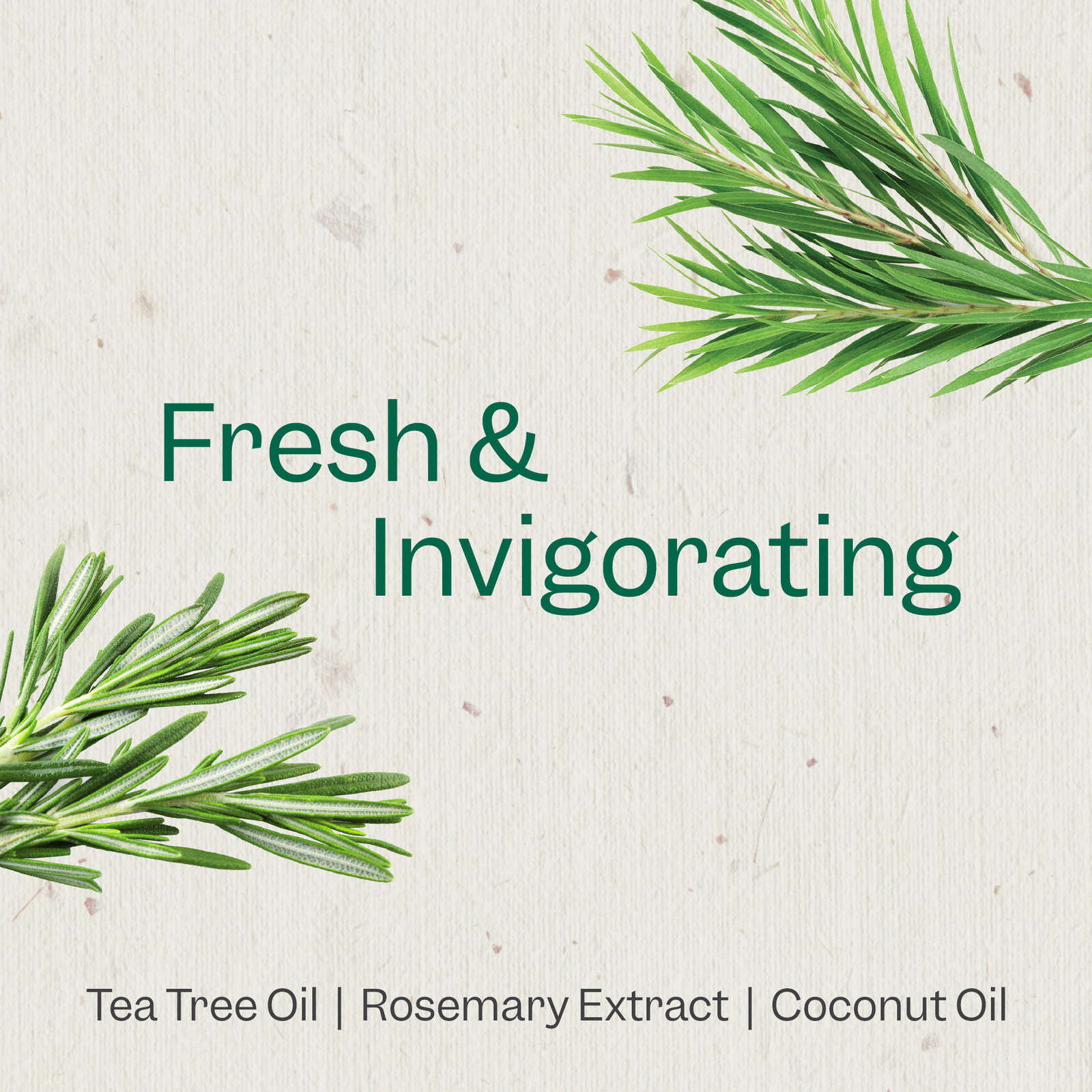 Tea Tree & Rosemary Refresh & Rebalance Shampoo