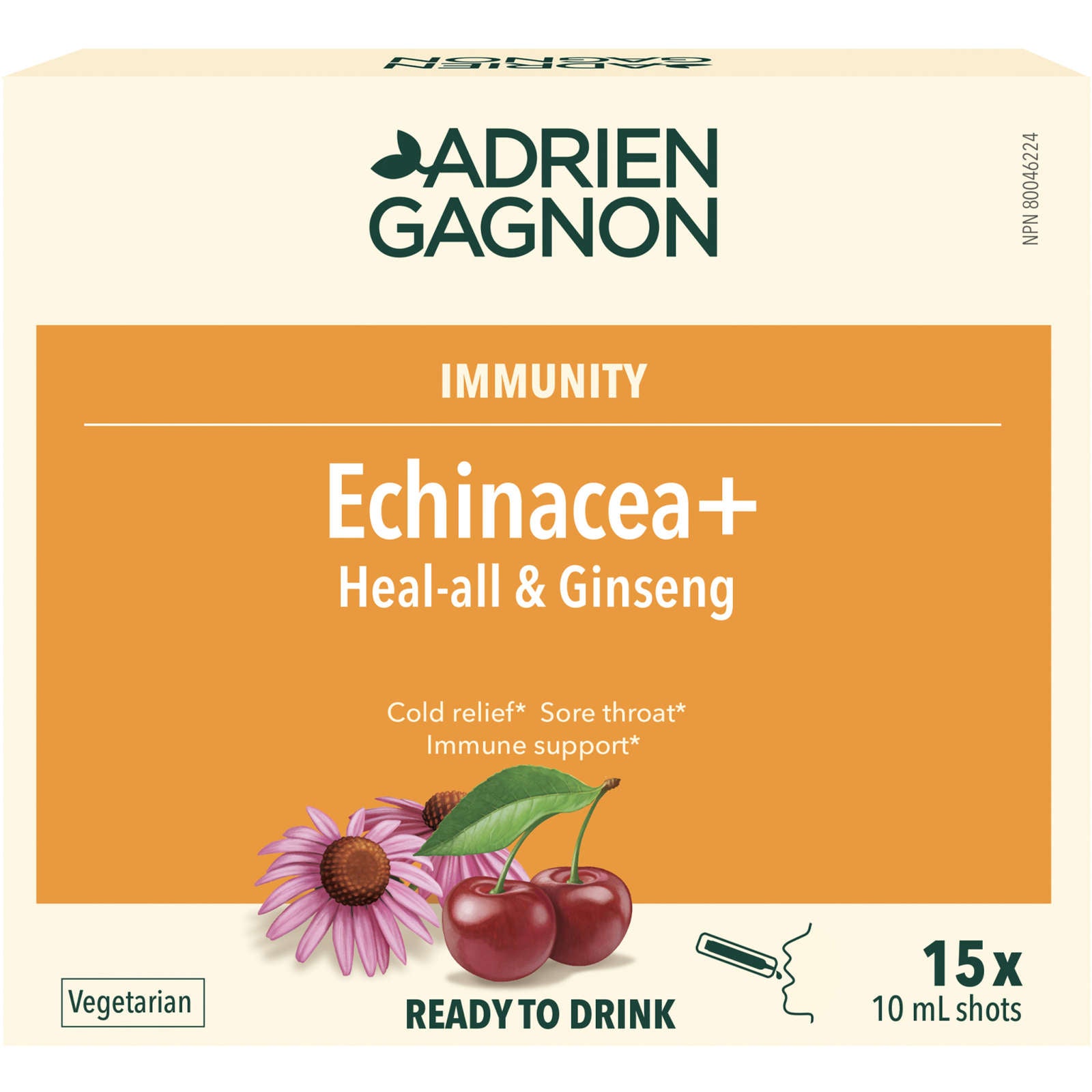 Echinacea Adults