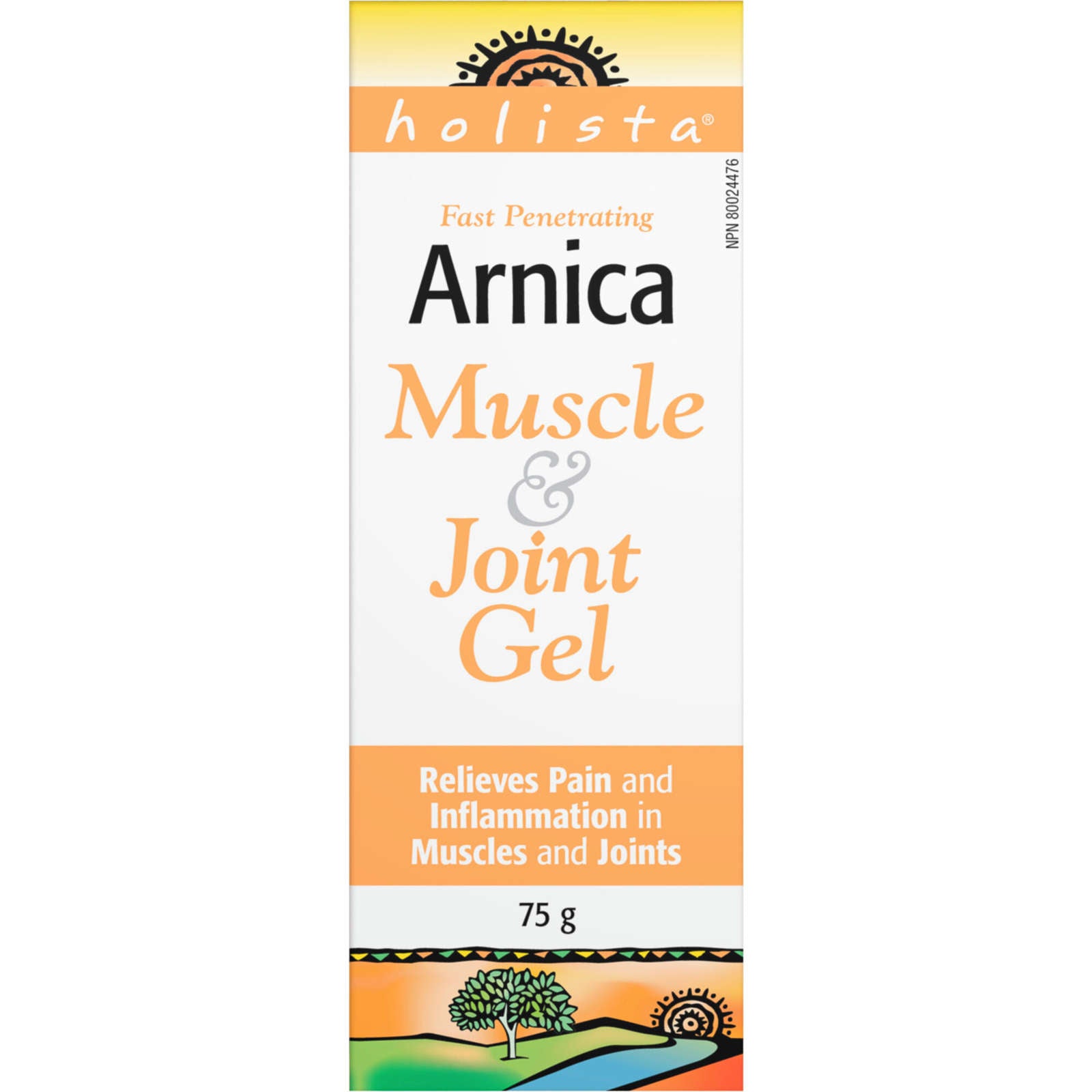 Arnica Muscle & Joint Gel