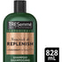 Botanique Nourish & Replenish Shampoo for dry hair + Coconut Extract formulated with Pro Style Technology™