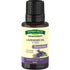 Lavender Essential Oil