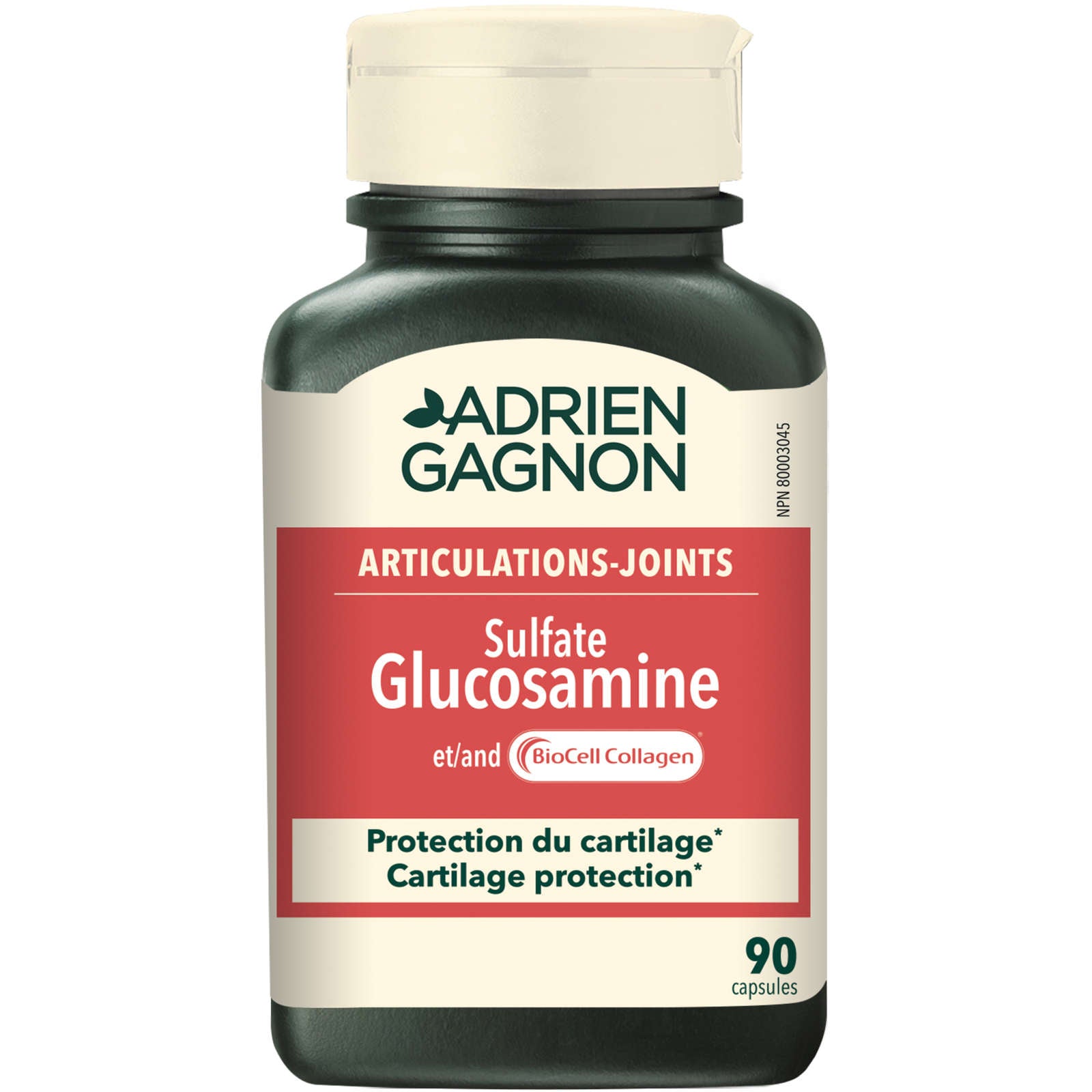 Glucosamine Sulfate & Collagen type II